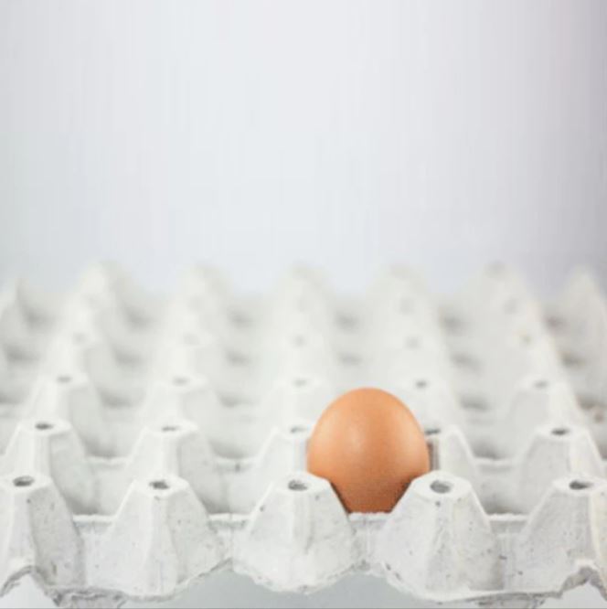 Porrtauova grigio con un uovo 