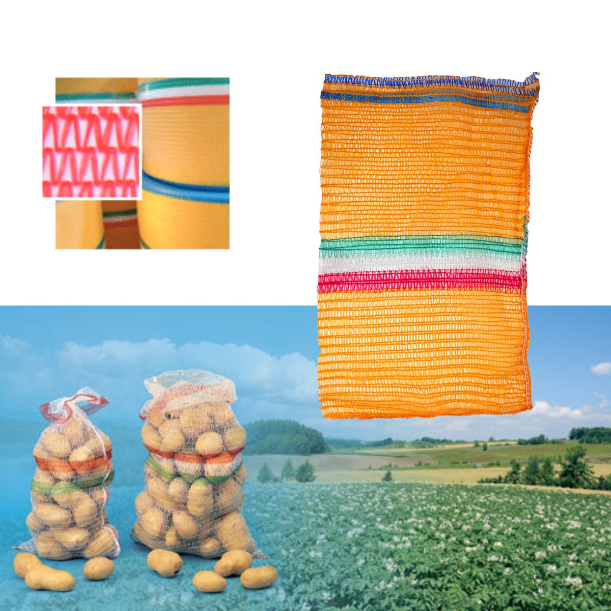 Sacco per patate, colorato, mostrato vuoto, pieno e su un campo 