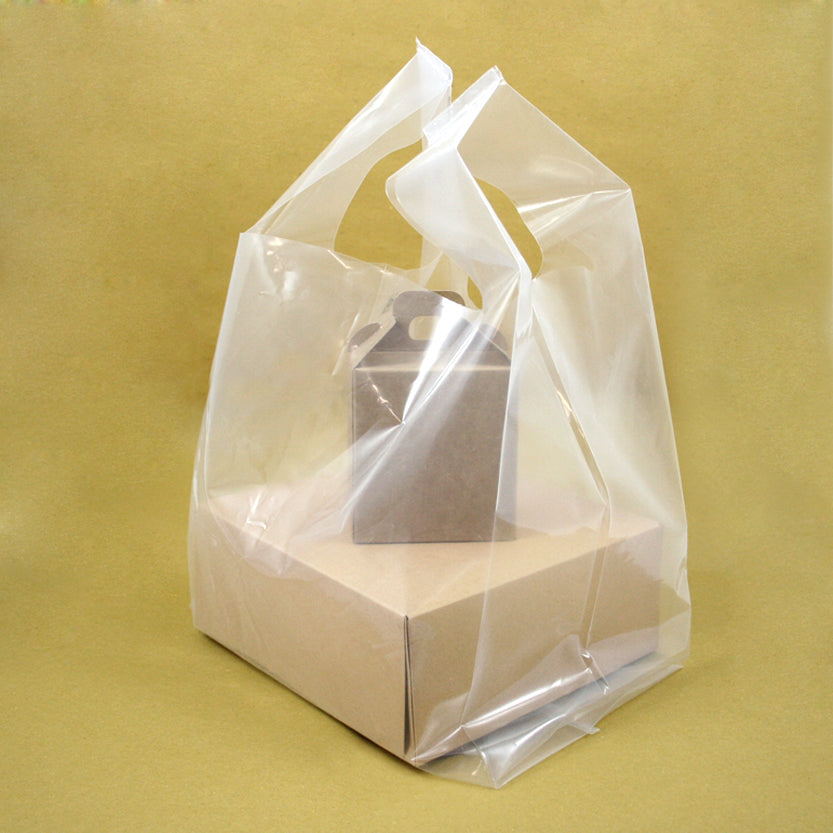 Shopper di plastica trasparente opaca con dentro due scatole color avana 