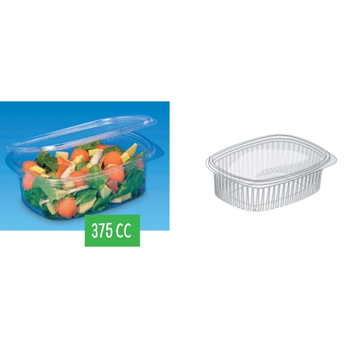 Vaschetta trasparente di plastica cn coperchio attaccato mostrata piena di insalata e suo disegno tecnico 